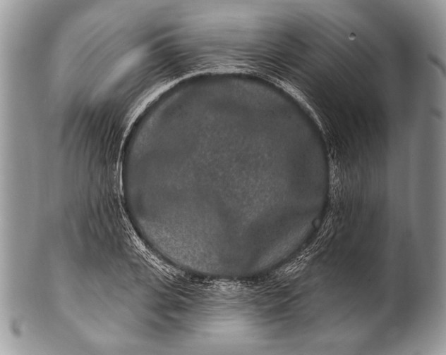 X0000100360935200806201601