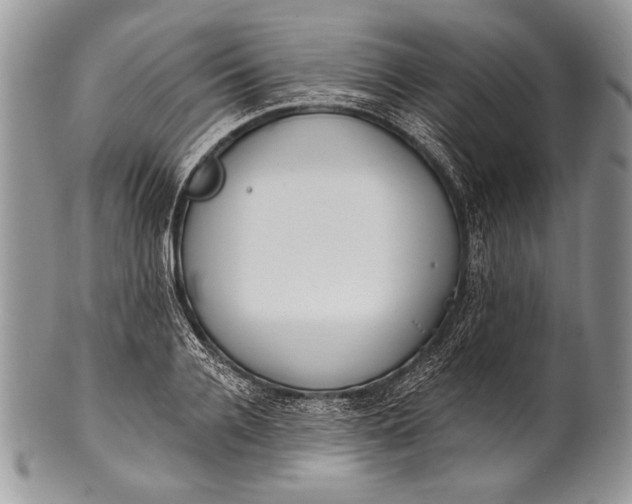 X0000100360936200806201601