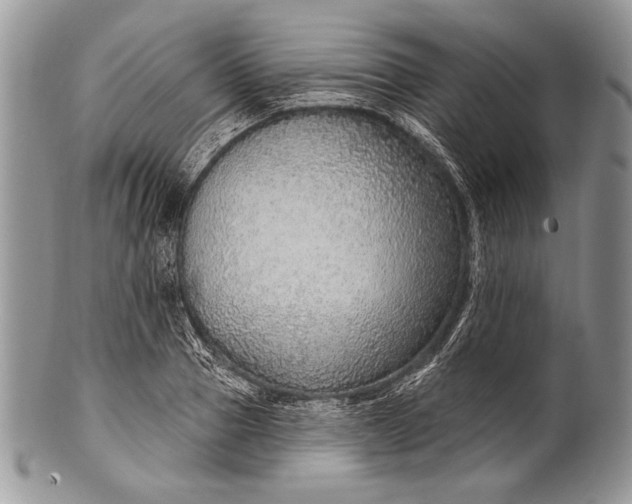 X0000100360937200806201601