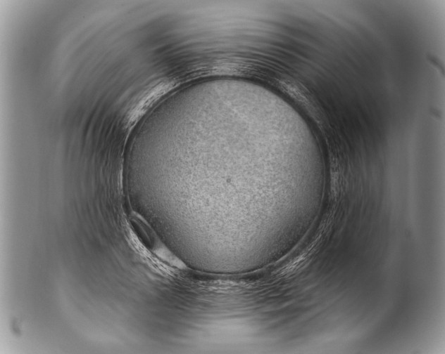 X0000100360938200806201601