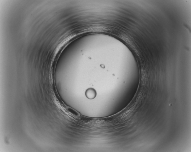 X0000100360939200806201601