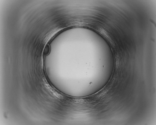 X0000100360940200806201601