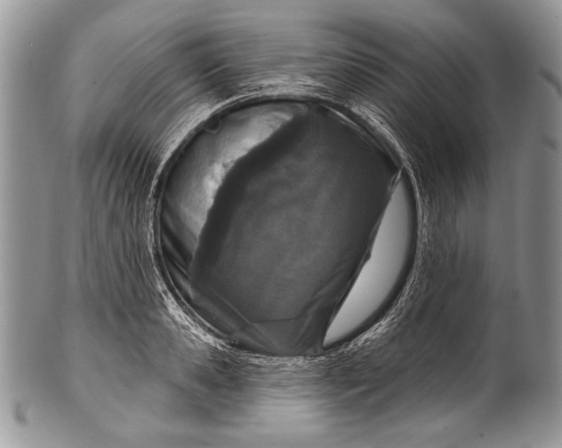 X0000100360941200806201601