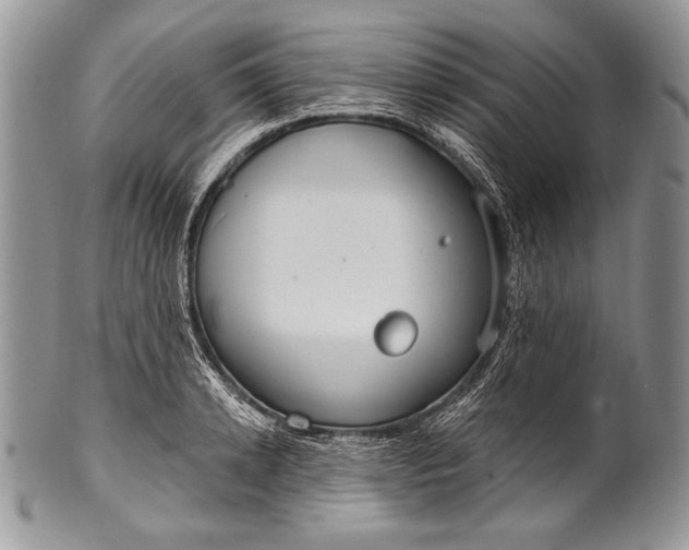 X0000100360942200806201601