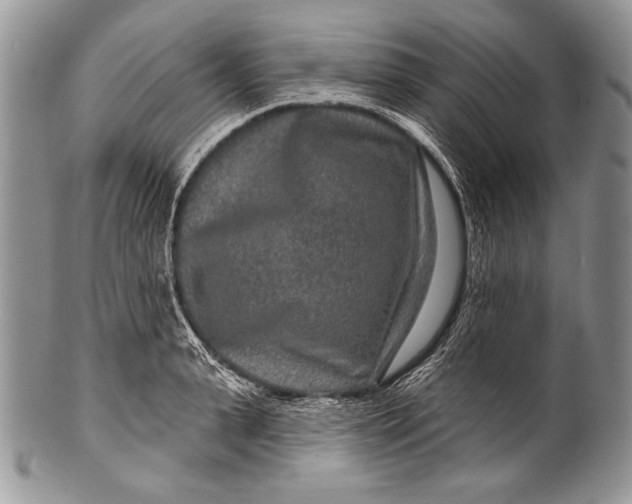 X0000100360943200806201601