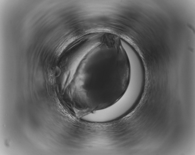 X0000100360945200806201601