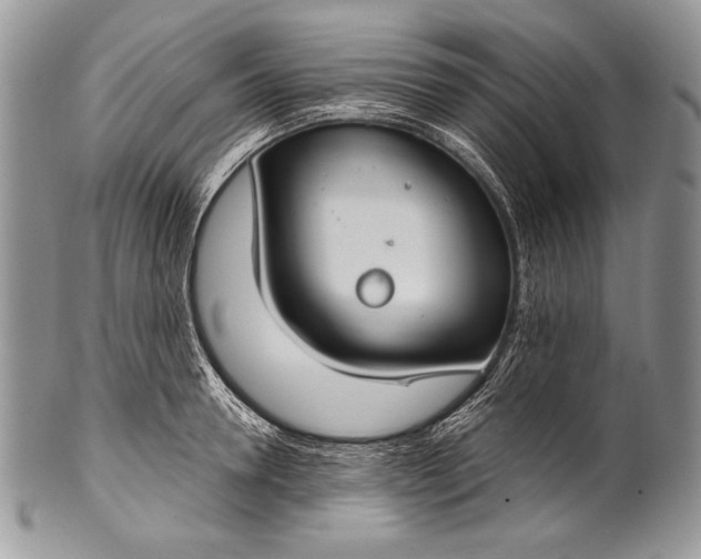 X0000100360946200806201601