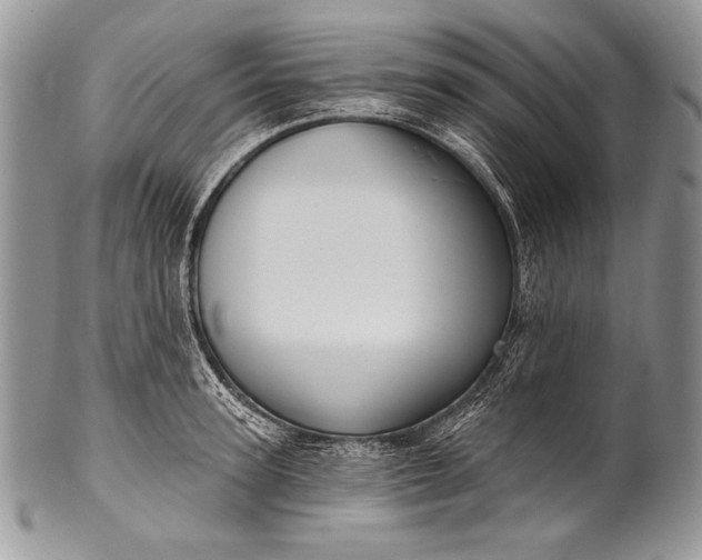 X0000100360947200806201601