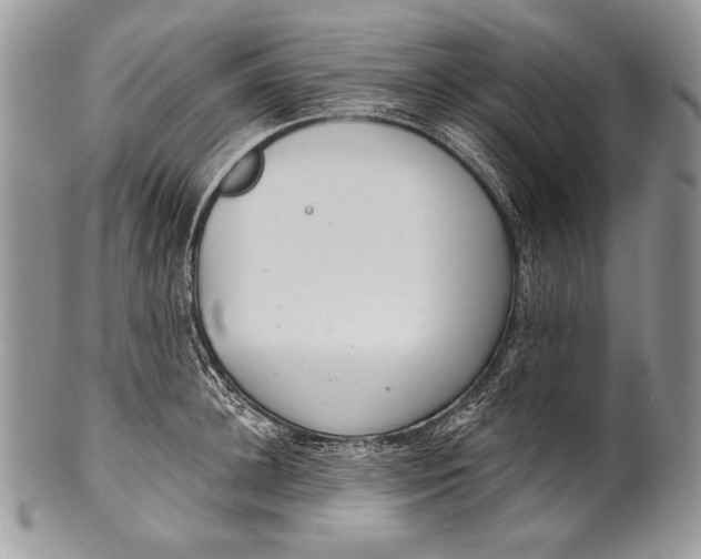 X0000100360948200806201601