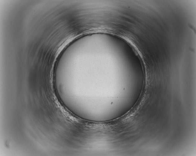 X0000100360949200806201601