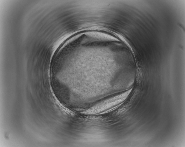 X0000100360951200806201601