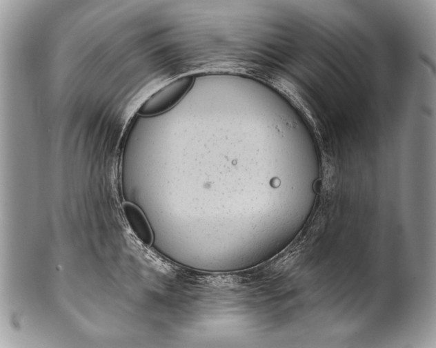 X0000100360952200806201601