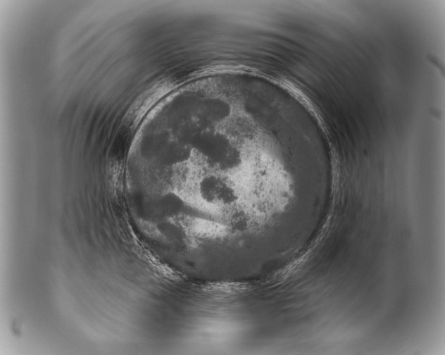 X0000100360953200806201601