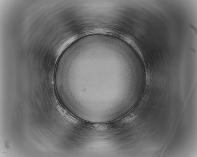 X0000100360954200806201601