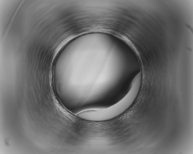 X0000100360955200806201601