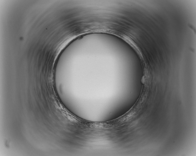 X0000100360956200806201601