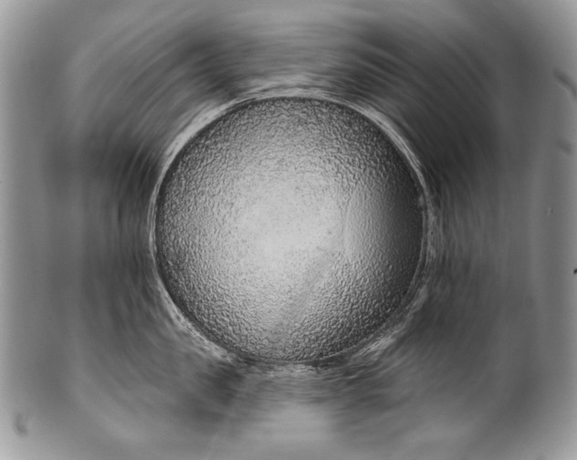 X0000100360957200806201601