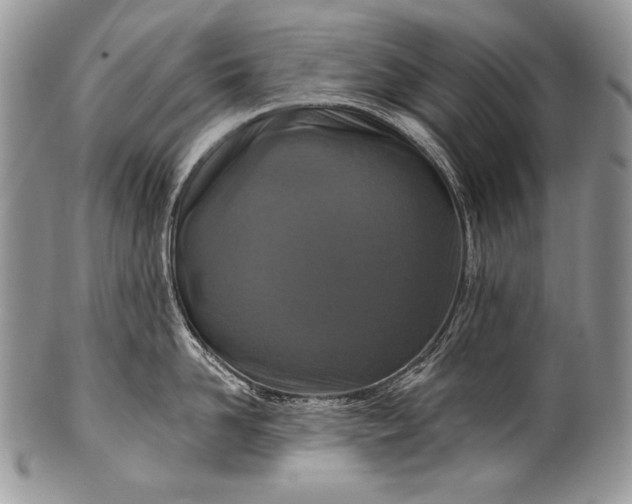 X0000100360958200806201601