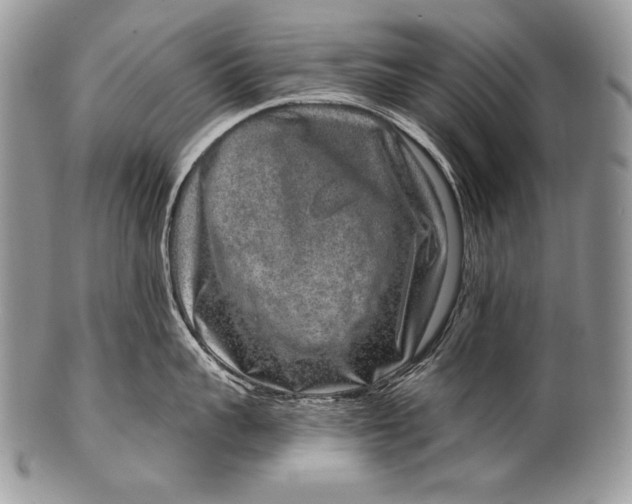 X0000100360959200806201601