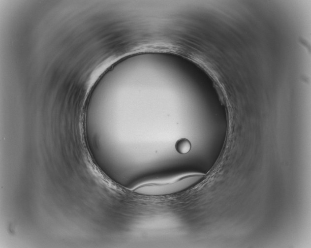 X0000100360960200806201601