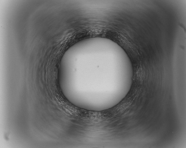 X0000100360961200806201601