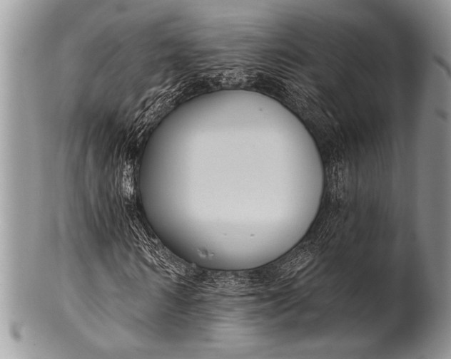 X0000100360962200806201601