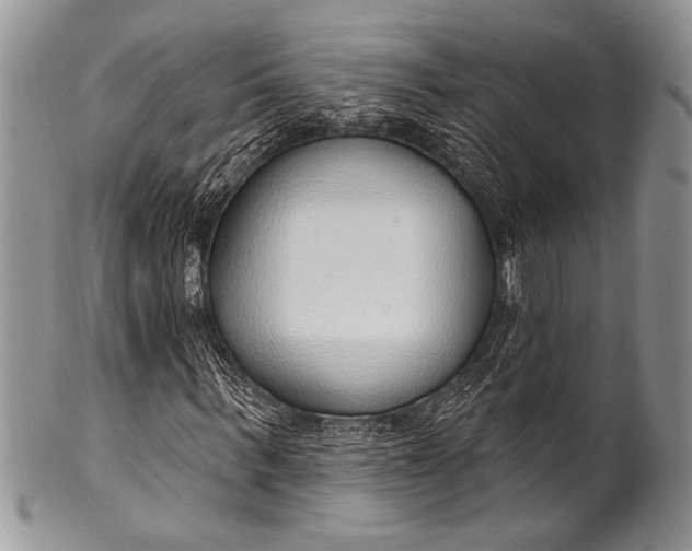 X0000100360963200806201601