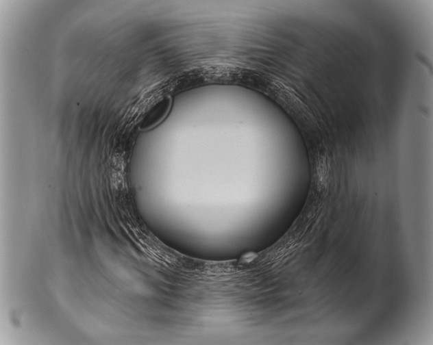 X0000100360964200806201601