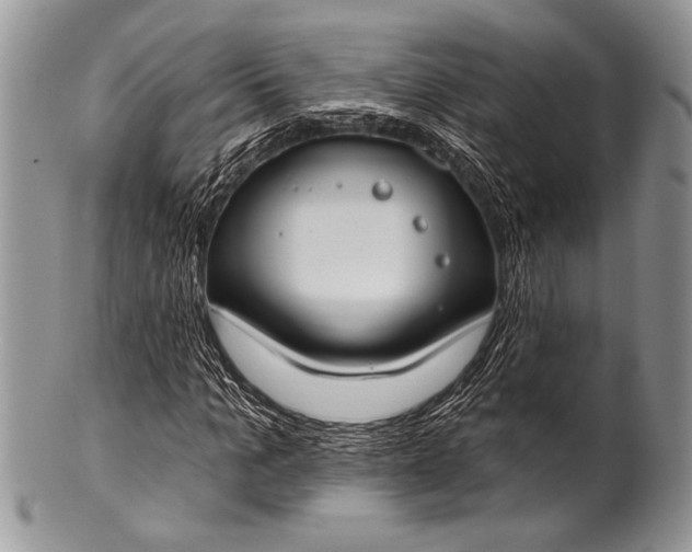 X0000100360965200806201601