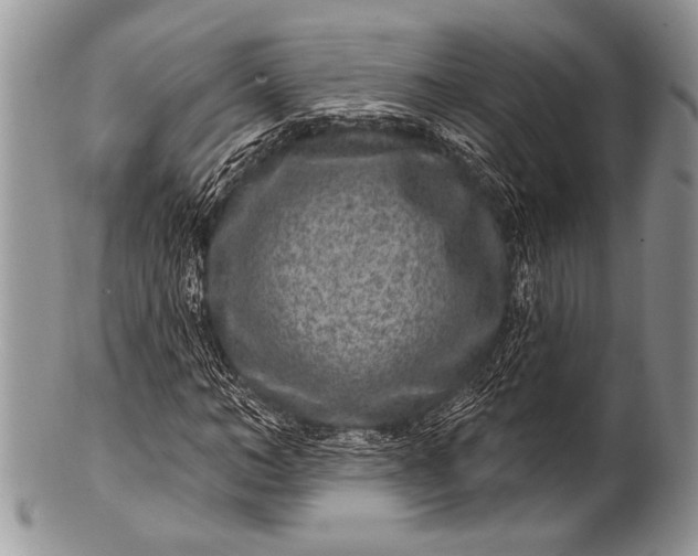 X0000100360966200806201601