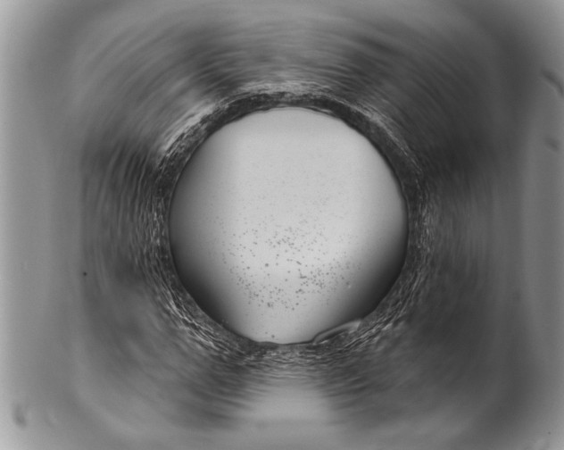 X0000100360967200806201601