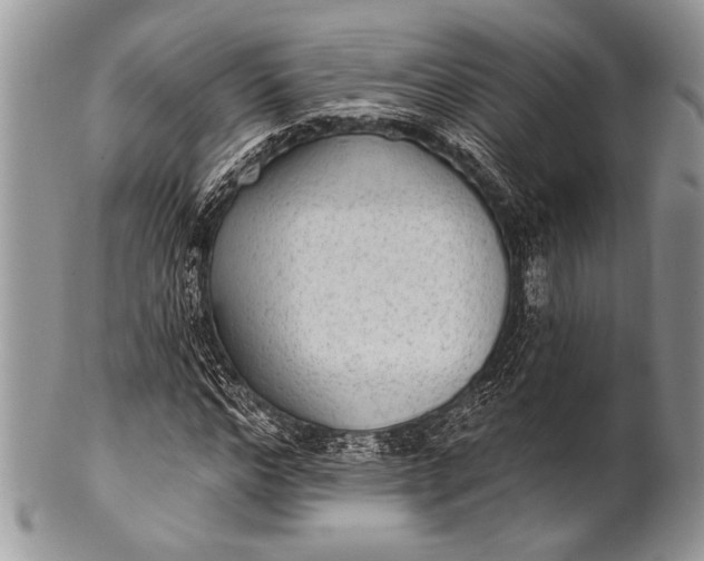 X0000100360968200806201601