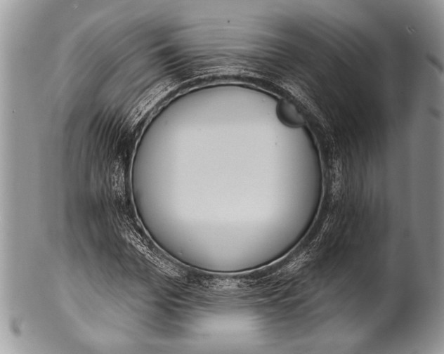 X0000100360969200806201601