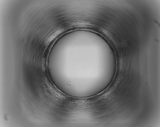 X0000100360970200806201601