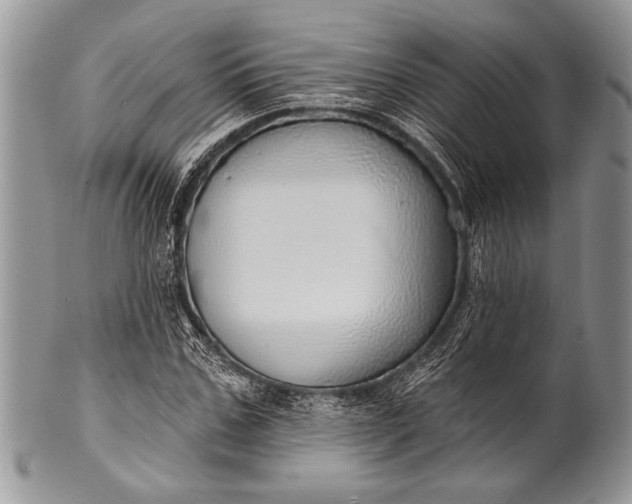 X0000100360971200806201600