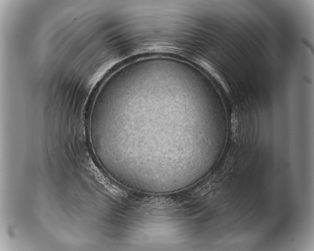 X0000100360972200806201600