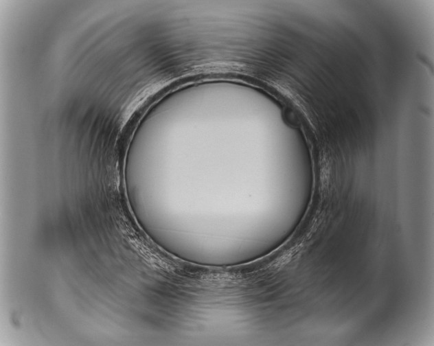 X0000100360973200806201600