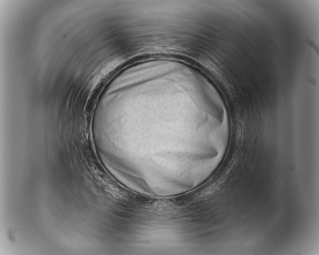 X0000100360974200806201600