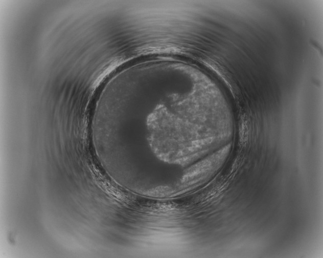 X0000100360975200806201600