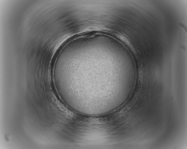 X0000100360976200806201600