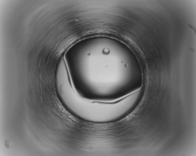 X0000100360977200806201600