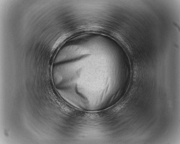 X0000100360978200806201600