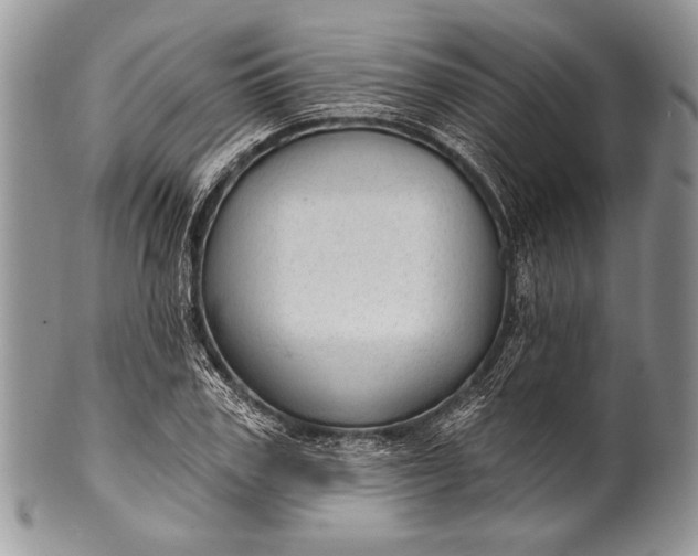 X0000100360979200806201600