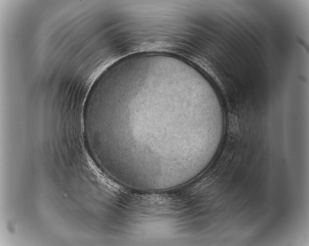 X0000100360980200806201600