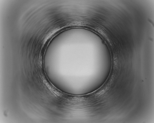 X0000100360981200806201600