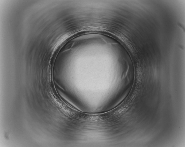 X0000100360982200806201600