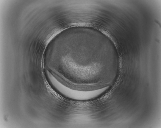 X0000100360983200806201600