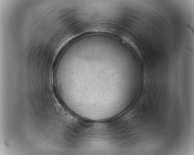 X0000100360984200806201600