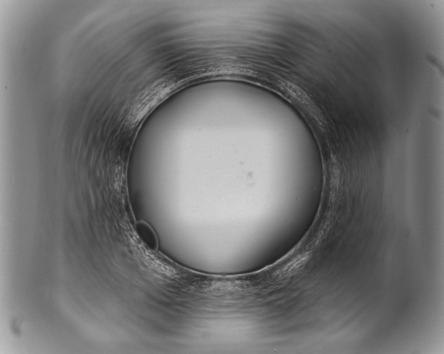 X0000100360985200806201600