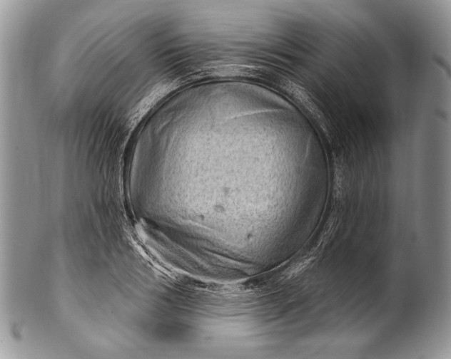 X0000100360986200806201600